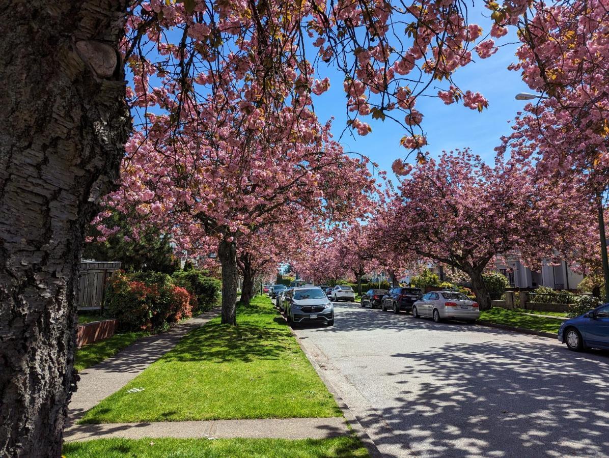 Nice Home Away At Vancouver Near Yvr Buitenkant foto